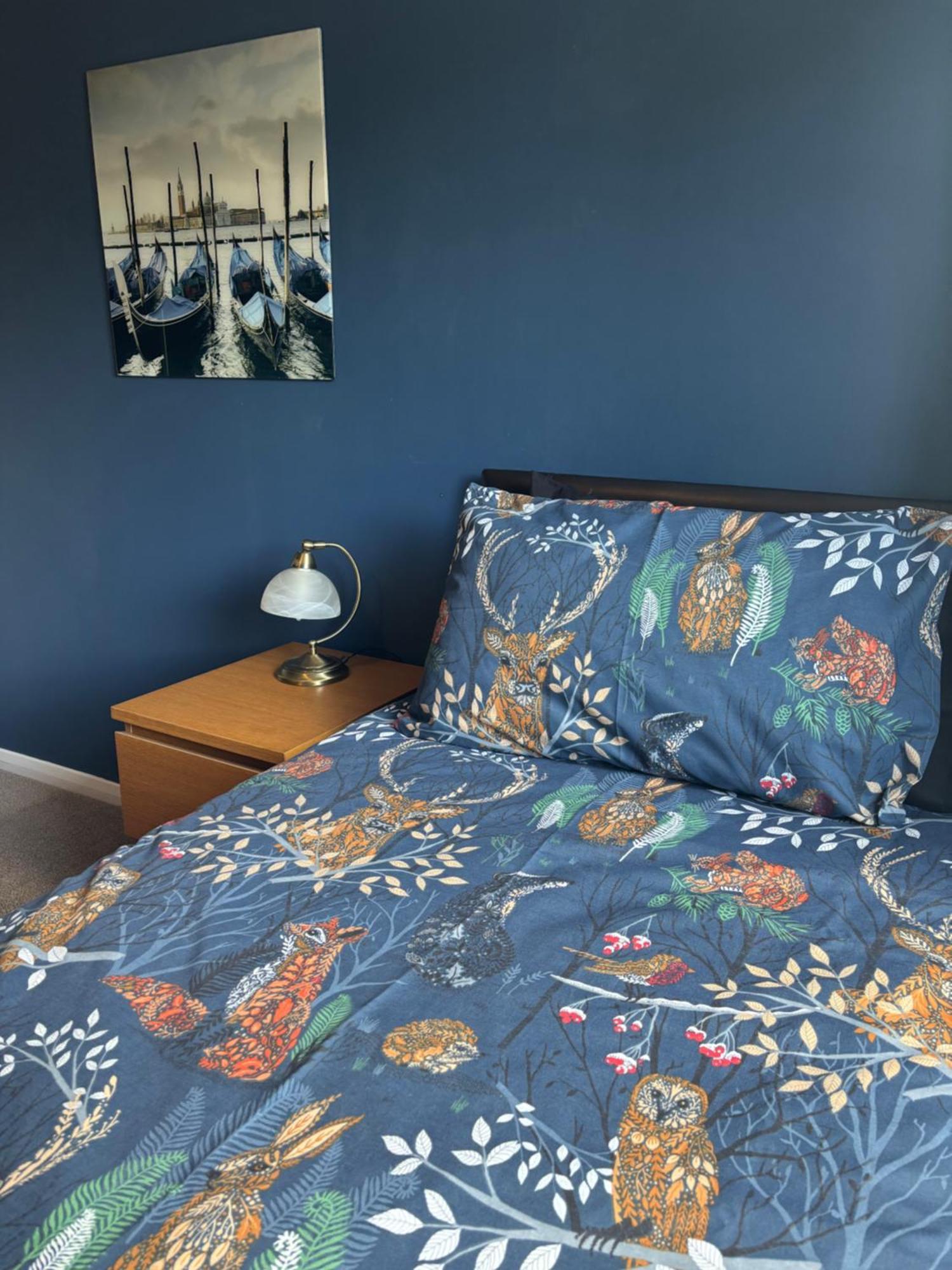 The Number Eleven Apartment Kilmuir  Экстерьер фото
